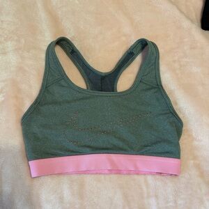 Nike Grey and Pink Sports Bra